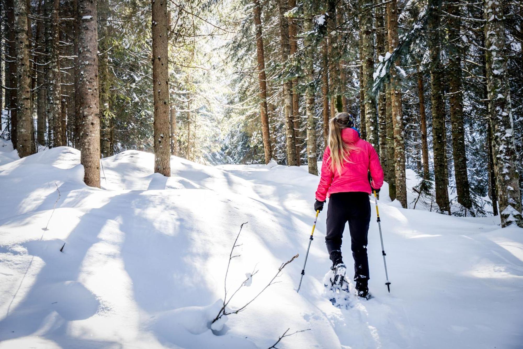 Gluexplatzl Appartements Am Wald ซังต์ มาร์ติน อัม เทนเนนเกอเบียร์เกอ ภายนอก รูปภาพ